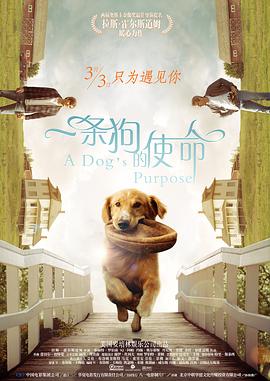 《镖人》已差不多回本？